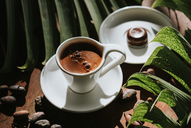 Cacao tea at Rainforest Spice Tour Costa Rica