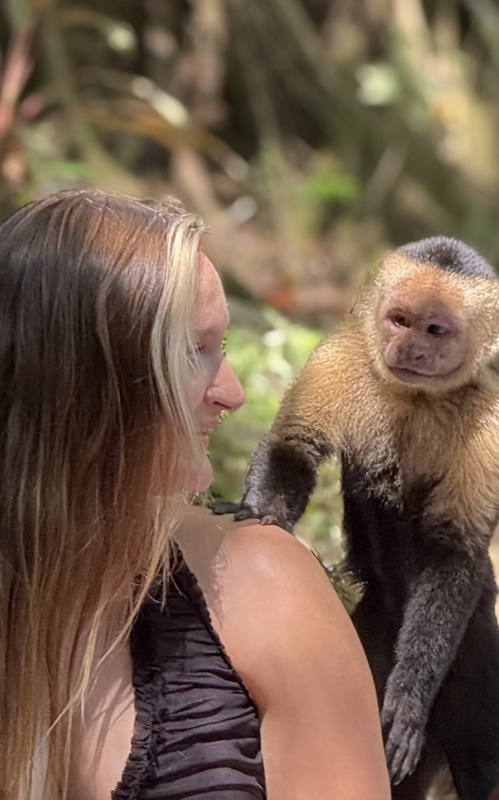 Guest with capuchin on mangrove monkey tour