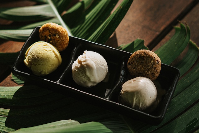 Homemade ice cream at Rainforest Spice Tour Costa Rica